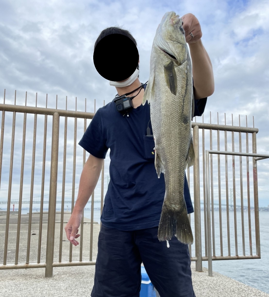 awaji-1